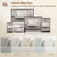 HOMCOM Loveseat Sofa, 55" Small Sofa Couch with 2 Pillows, Metal Legs for Living Room, Bedroom, Apartment, Cream White(m-6)