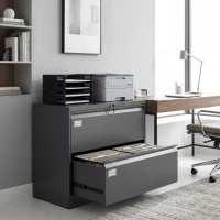 HOMCOM Lateral Filing Cabinet with 2 Drawers, Lockable Steel File Cabinet for A4/Letter/Legal Size Files, Black(m-1)