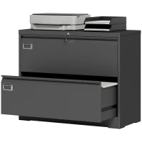 HOMCOM Lateral Filing Cabinet with 2 Drawers, Lockable Steel File Cabinet for A4/Letter/Legal Size Files, Black(m-2)