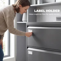 HOMCOM Lateral Filing Cabinet with 2 Drawers, Lockable Steel File Cabinet for A4/Letter/Legal Size Files, Black(m-6)