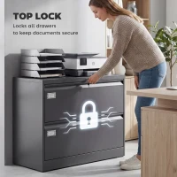 HOMCOM Lateral Filing Cabinet with 2 Drawers, Lockable Steel File Cabinet for A4/Letter/Legal Size Files, Black(m-5)