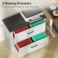 HOMCOM Lateral Filing Cabinet, Farmhouse File Cabinet with 2 Silent Drawers for Letter/A4/Legal Size Files, White(m-4)