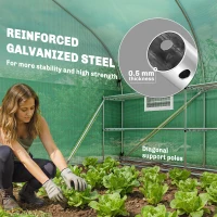 Outsunny 10'x11'x6' Walk-in Tunnel Greenhouse with Shelves, Mesh Door and Windows, Plant Hot House with PE Cover, Green(m-5)