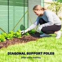 Outsunny Mini Greenhouse, Portable Greenhouse with Roll-Up Door and 2 Mesh Windows, PE Cover, 78.7" x 29.5" x 74", Green(m-4)