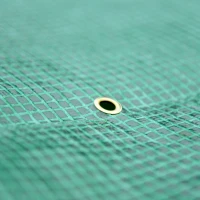 Outsunny 40"L x 20"W x 59"H Walk-in Garden Greenhouse with Durable Steel Frame Outdoor Hot House Tomato Plant Warm House w/ Roll up Door, PE Cover, Green(m-10)