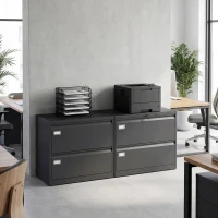 HOMCOM Lateral Filing Cabinet with 2 Drawers, Lockable Steel File Cabinet for A4/Letter/Legal Size Files, Black(m-9)