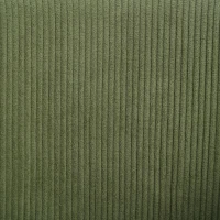 Modern Corduroy Side Chair with Ergonomic Curved Back, Minimalist Lounge Chair for Living Room, 30.5" L x 21.5" W x 19.5" H, Green(m-8)