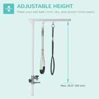 PawHut Adjustable Pet Grooming Arm, with Clamp, Haunch Holders & Grooming Loop - Sliver(m-5)