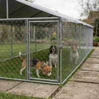 PawHut 19.7' x 7.5' x 4.9' Outdoor Dog Kennel for Large-Sized Dogs with Waterproof UV Resistant Roof, Silver(m-3)