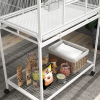 PawHut 64" Large Rolling Bird Cage Bird House with Detachable Rolling Stand, Storage Shelf, Wood Perch Food Container, White(m-10)