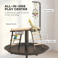 PawHut Bird Stand with Wheels Parrot Play Stand with Round Tray Stainless Steel Feed Bowls Indoor Outdoor Dark Gray(m-6)