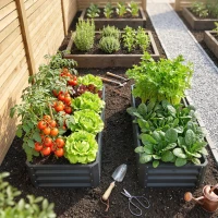 Outsunny 4' x 2' x 1' Raised Garden Bed, Set of 2 Galvanized Planter Box for Vegetables, Flowers, Herbs, Grey(m-10)