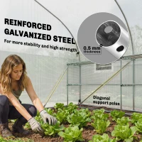 Outsunny 10'x11'x6' Walk-in Tunnel Greenhouse with Shelves, Mesh Door and Windows, Plant Hot House with PE Cover, White(m-5)