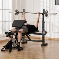 Soozier Weight Bench Stand with Squat Rack, Adjustable Olympic Bench, Multifunctional Arm Curl Pad, Leg Extension, Grey(m-10)