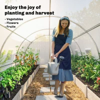 Outsunny Walk-in Tunnel Greenhouse, Plant Hot House w/ Support Rods, Roll-up Mesh Door, Mesh Windows, 13'x9.8'x6.6', White(m-10)