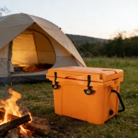 Insulated Portable Hard Cooler with Impact-Resistant Construction, Outdoor Ice Chest for Extended Travel, 21.5″ L x 15.5″ W x 15.5″ H, Orange(m-10)