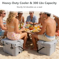 Insulated Portable Cooler with Impact-Resistant Hard Shell, Outdoor Ice Chest for Extended Travel, 21.5″ L x 15.5″ W x 15.5″ H, Grey(m-4)