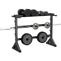 Soozier 1100LBS Capacity Weight Rack, Weight Plate Rack, and Dumbbell Rack for Home Gym Storage(m-11)