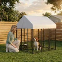 PawHut Outdoor Dog Kennel with Roof, 6' x 4' x 6' Heavy Duty Welded Wire Dog Playpen Enclosure with Escape-proof Lock(m-2)