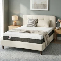 HOMCOM 10 Inch Queen Mattress in a Box, Pressure Relief & Lumbar Support, CertiPUR-US Certified, Medium Firm(m-10)