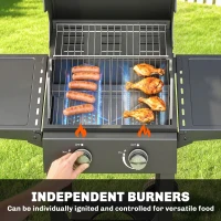 Outsunny 2 Burner Propane Gas Grill with Wheels, 18,400 BTU Portable BBQ Grill with Foldable Side Shelves, Warming Rack, Black(m-4)