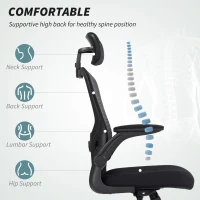 HOMCOM Ergonomic Office Chair, Mesh Desk Chair with Adjustable Headrest, Lumbar Support and Height, Flip-Up Armrests, Black(m-4)
