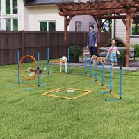 PawHut Dog Agility Training Equipment, 5PCS Dog Obstacle Course Starter Kit with Carrying Bag(m-1)