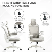 Vinsetto Office Chair, Mesh Computer Desk Chair with Adjustable Headrest, 4D Lumbar Support, Flip-up Arm, Grey(m-4)
