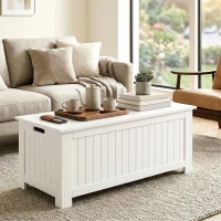 HOMCOM Large Storage Box Storage Trunk Cabinet Container with Lid and 2 Safety Hinges, White(m-9)