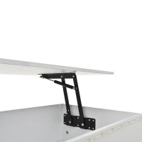 Sleek Lift-Top Coffee Table with Hydraulic Lift and App-Controlled LED Lighting, Versatile Center Table with Hidden Storage, 39.5" L x 19.5" W x 15.5" H, White(m-9)