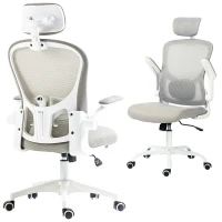 Vinsetto Office Chair, Mesh Computer Desk Chair with Adjustable Headrest, 4D Lumbar Support, Flip-up Arm, Grey(m-11)