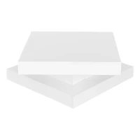 Square High-Gloss Coffee Table with App-Controlled LED Lighting, Modern Center Table with Double-Layer Storage, 27.5" L x 27.5" W x 14" H, White(m-12)