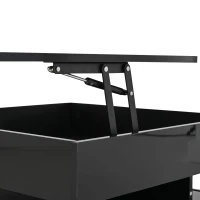 Lift-Top Coffee Table with App-Controlled LED Lighting and Liftable Top, Compact Center Table with 2 Drawers, 25.5" L x 25.5" W x 15" H, Black(m-9)
