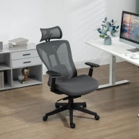 Vinsetto Ergonomic Office Chair with Adjustable Headrest, Lumbar Support, 3D Armrest, Mesh Computer Desk Chair with High Back, Swivel Reclining Seat with Tilt Function, Grey(m-10)