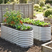 Outsunny 2Pcs Galvanized Raised Garden Bed, 6 x 2 x 2 ft Modular Metal Garden Beds with Rubber Strip Edging, Silver(m-10)