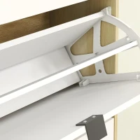 HOMCOM Narrow Shoe Cabinet, High Gloss Shoe Storage Cabinet with 3 Flip Drawers and Adjustable Shelves, Holds 24 Pairs, White(m-11)