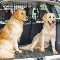 PawHut Dog Car Barrier for SUV, Adjustable Car Divider for Trunk Cargo Area, Heavy-Duty Steel Wire Mesh Barrier, Black(m-1)