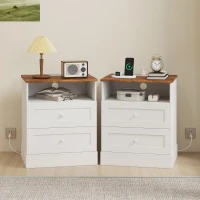 HOMCOM Nightstand with Charging Station 2 Drawers Bedside Table Set of 2 White and Oak(m-1)