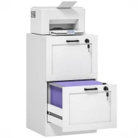 HOMCOM Vertical Filing Cabinet with 2 Drawers, Lock, File Cabinet for Home Office, A4 and Letter Size Files, White(m-9)