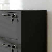 HOMCOM Vertical Filing Cabinet with 3 Drawers, Lock, File Cabinet for Home Office, A4 and Letter Size Files, Black(m-10)