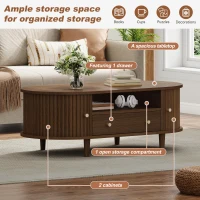 Versatile Oval Coffee Table with Roll-Top Door and Drawer, Spacious Center Table with Open Shelf, 39.5" L x 19.5" W x 14" H, Walnut(m-4)