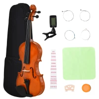 Soozier 4/4 Violin Maple Wood Full Set of Accessories Storage Box, Orange(m-11)