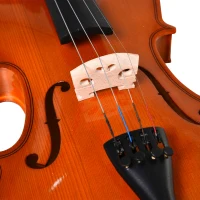 Soozier 4/4 Violin Maple Wood Full Set of Accessories Storage Box, Orange(m-10)