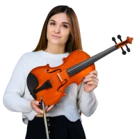 Soozier 4/4 Violin Maple Wood Full Set of Accessories Storage Box, Orange(m-8)