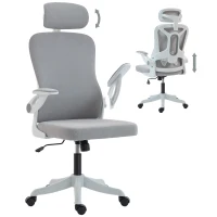 HOMCOM Ergonomic Office Chair, Swivel Desk Chair with Adjustable Lumbar Support, Headrest and Height, Flip-up Armrests, Grey(m-9)