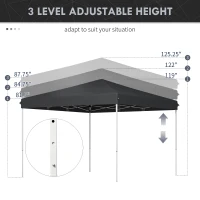 Outsunny 13' x 13' Pop Up Canopy Tent with Height Adjustable, Carry Bag for Outdoor, Garden, Patio, Gray(m-6)