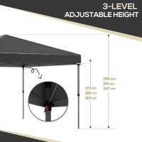 Outsunny 9.7' x 9.7' Pop Up Canopy with Sidewalls, Portable Canopy Tent with 2 Mesh Windows, Reflective Strips, Carry Bag, Black(m-5)