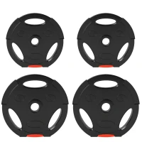 Soozier 1-Inch Weight Plates, Barbell Weights Set for Weightlifting and Strength Training, 2 x 11lbs + 2 x 5.5lbs(m-9)