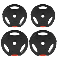 Soozier 1-Inch Weight Plates, Barbell Weights Set for Weightlifting and Strength Training, 2 x 17lbs + 2 x 11lbs(m-9)