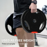 Soozier 1-Inch Weight Plates, Barbell Weights Set for Weightlifting and Strength Training, 2 x 11lbs + 2 x 5.5lbs(m-4)